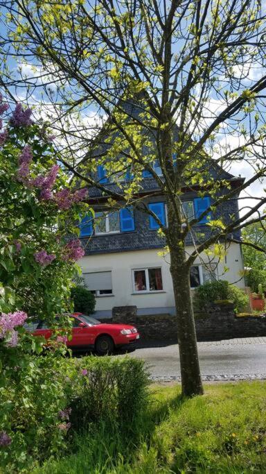 Ferienwohnung Alte-Schule-Kail Wohnung 2 Exteriér fotografie