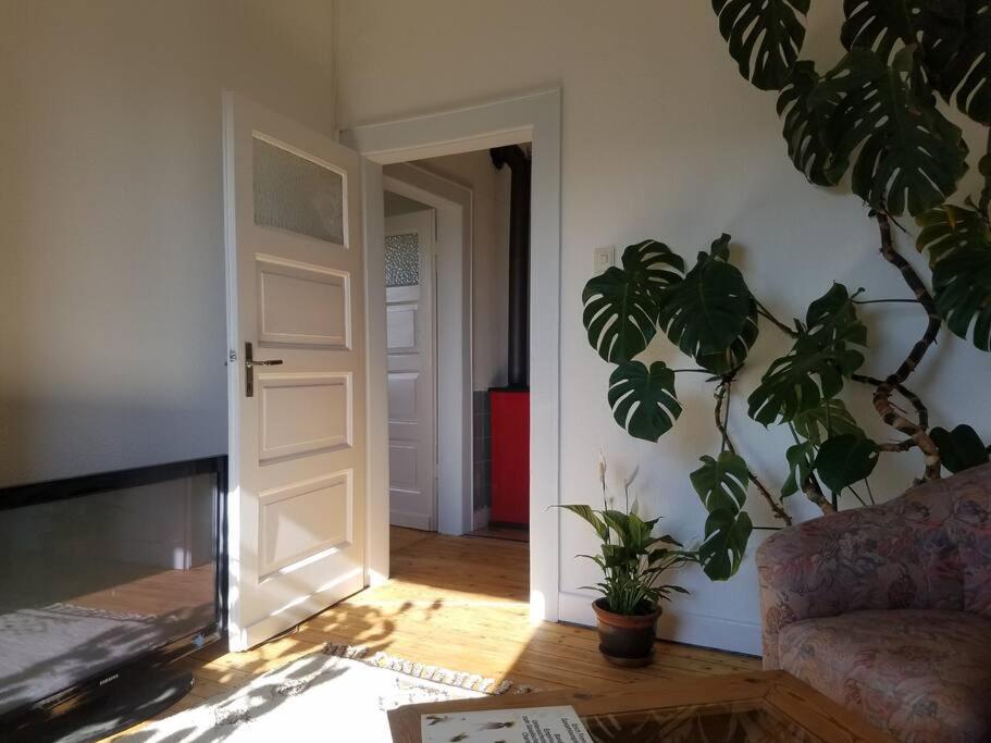 Ferienwohnung Alte-Schule-Kail Wohnung 2 Exteriér fotografie