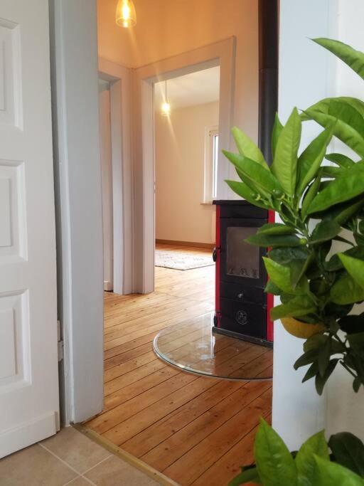Ferienwohnung Alte-Schule-Kail Wohnung 2 Exteriér fotografie
