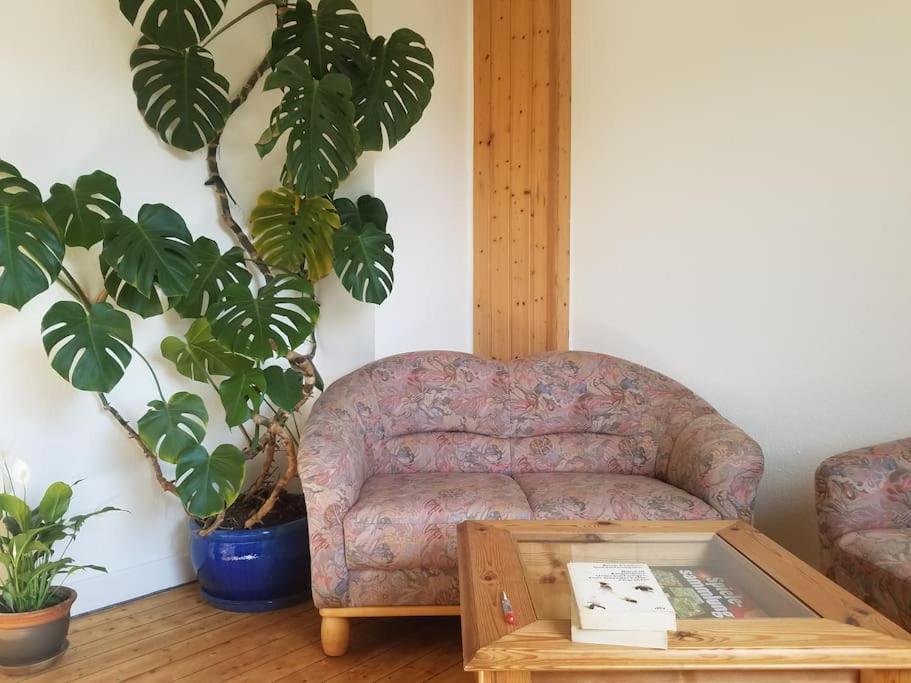 Ferienwohnung Alte-Schule-Kail Wohnung 2 Exteriér fotografie